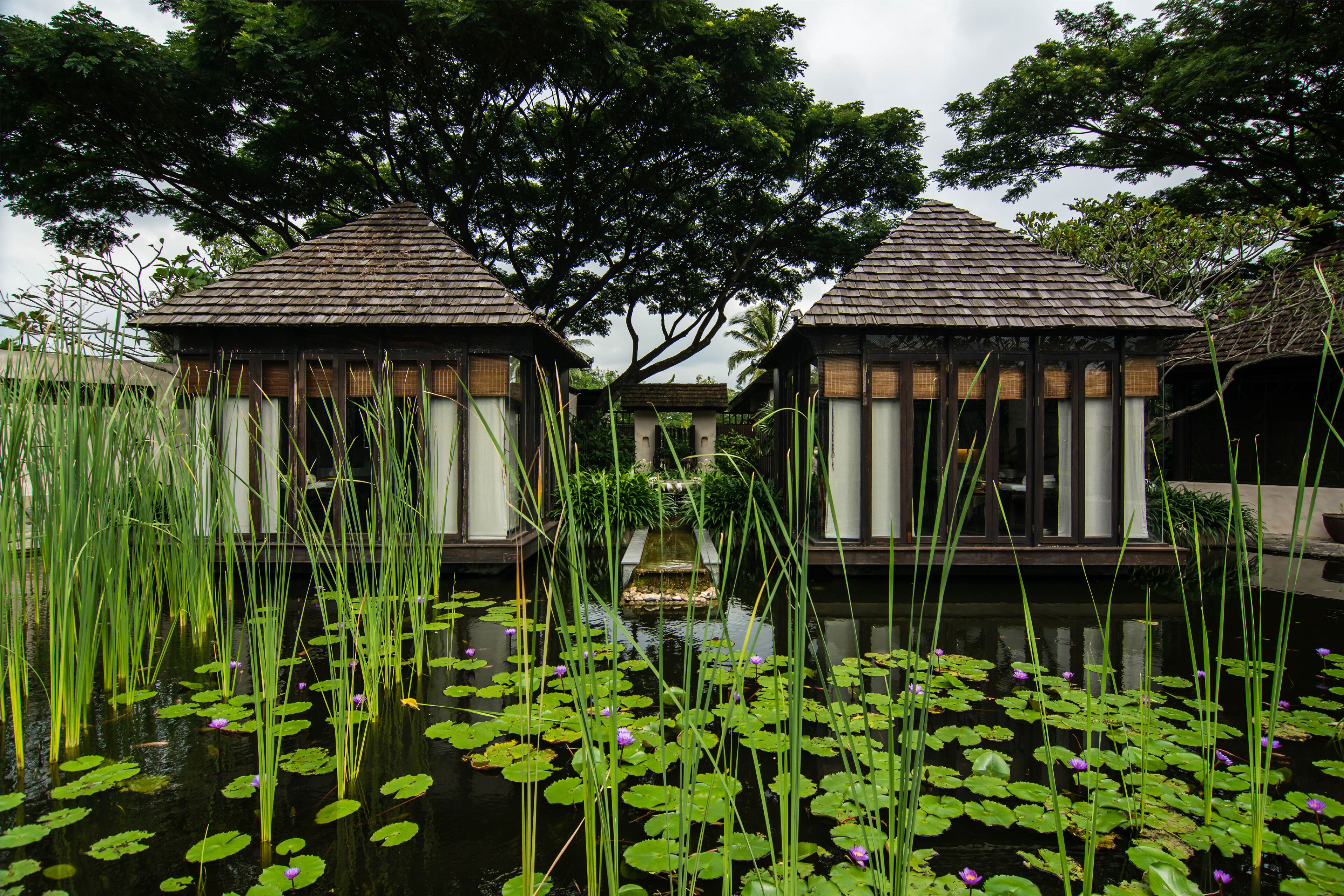 Behandelingskamers voor koppels, lichaamsbehandelingen, aromatherapie