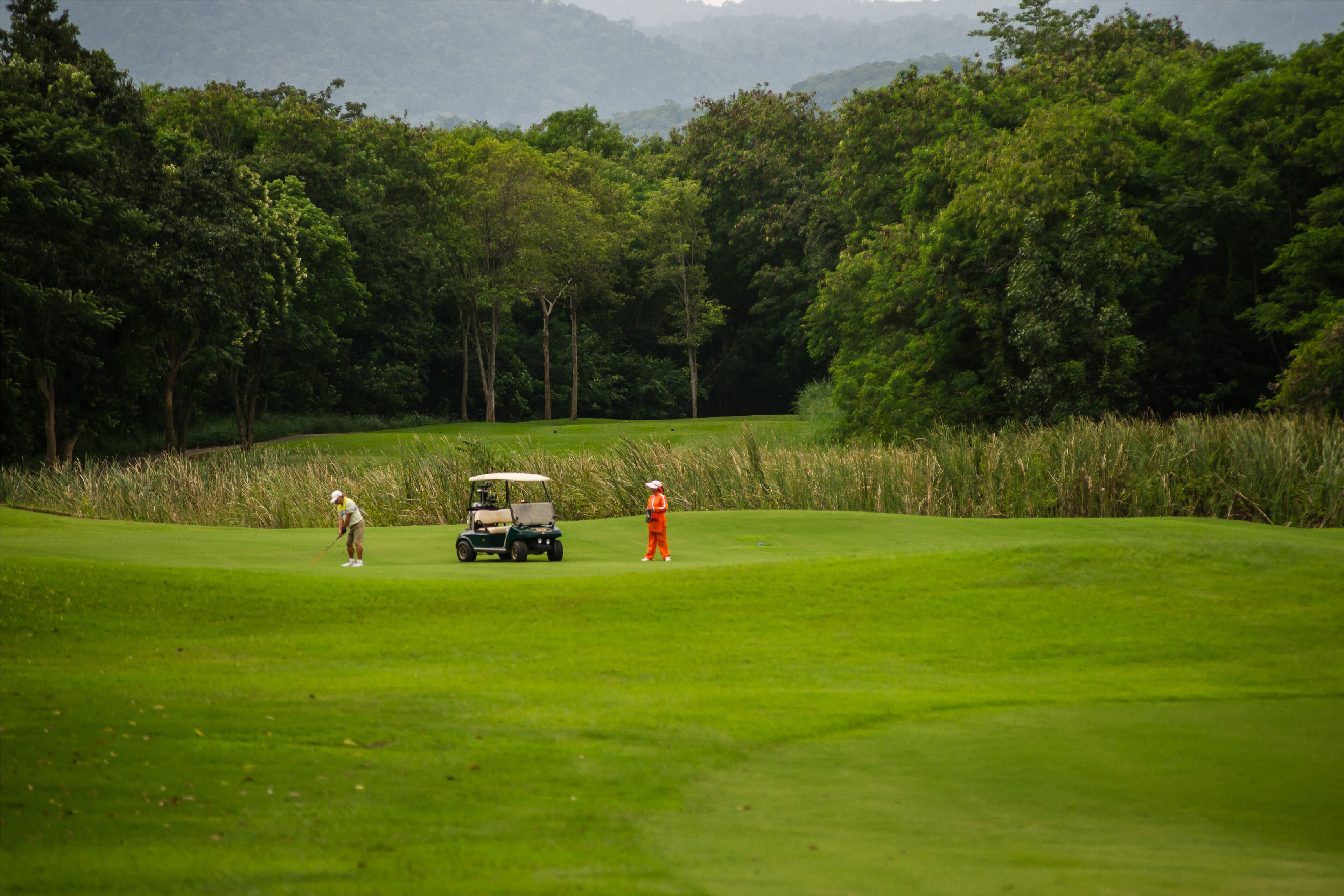 A golf course with a cart and two players.