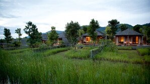 A serene resort with multiple buildings surrounded by lush greenery and a rice field. - MUTHI MAYA Forest Pool Villa Resort (Pak Chong)