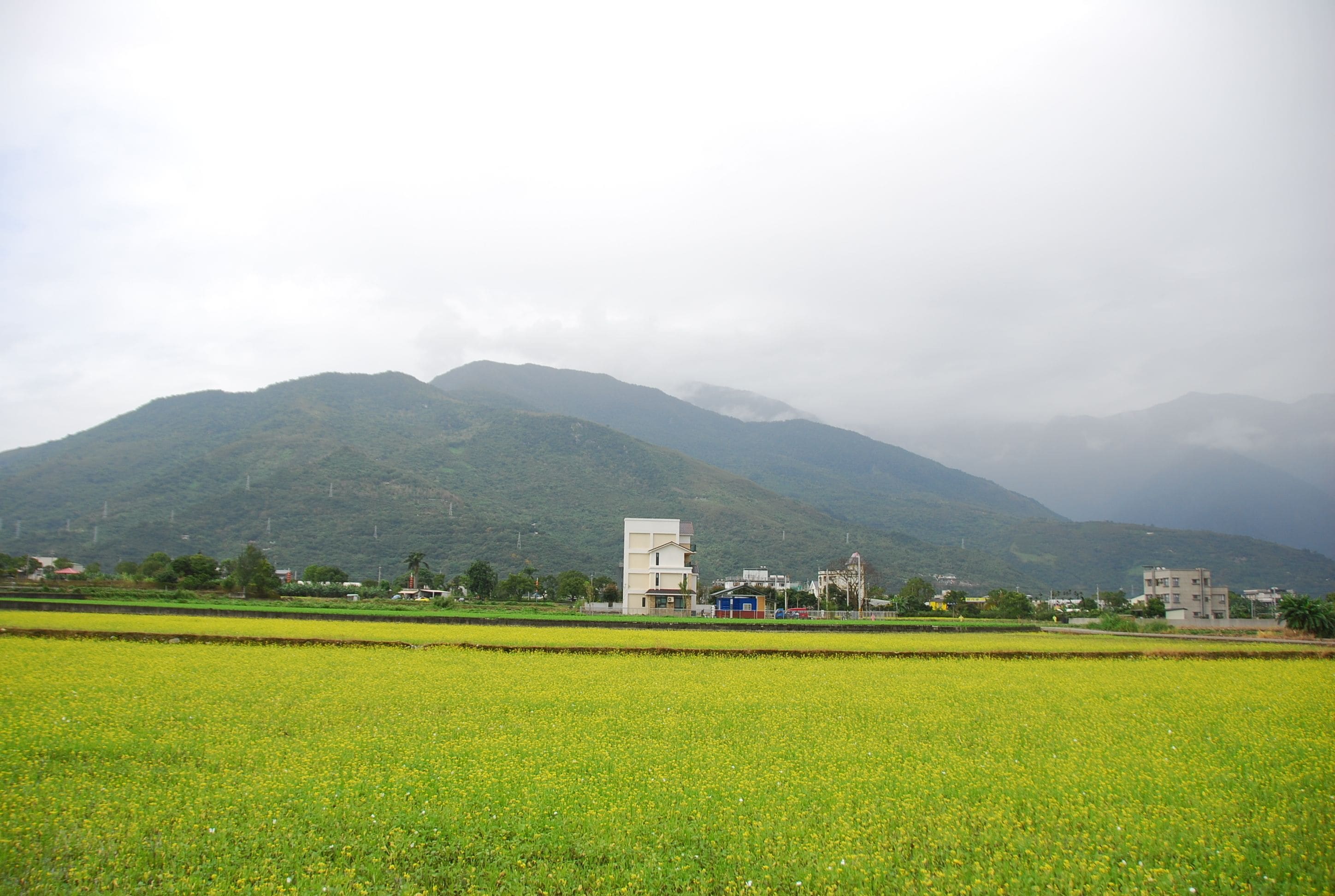 A rural landscape with a green field, a few buildings, and mountains in the background.