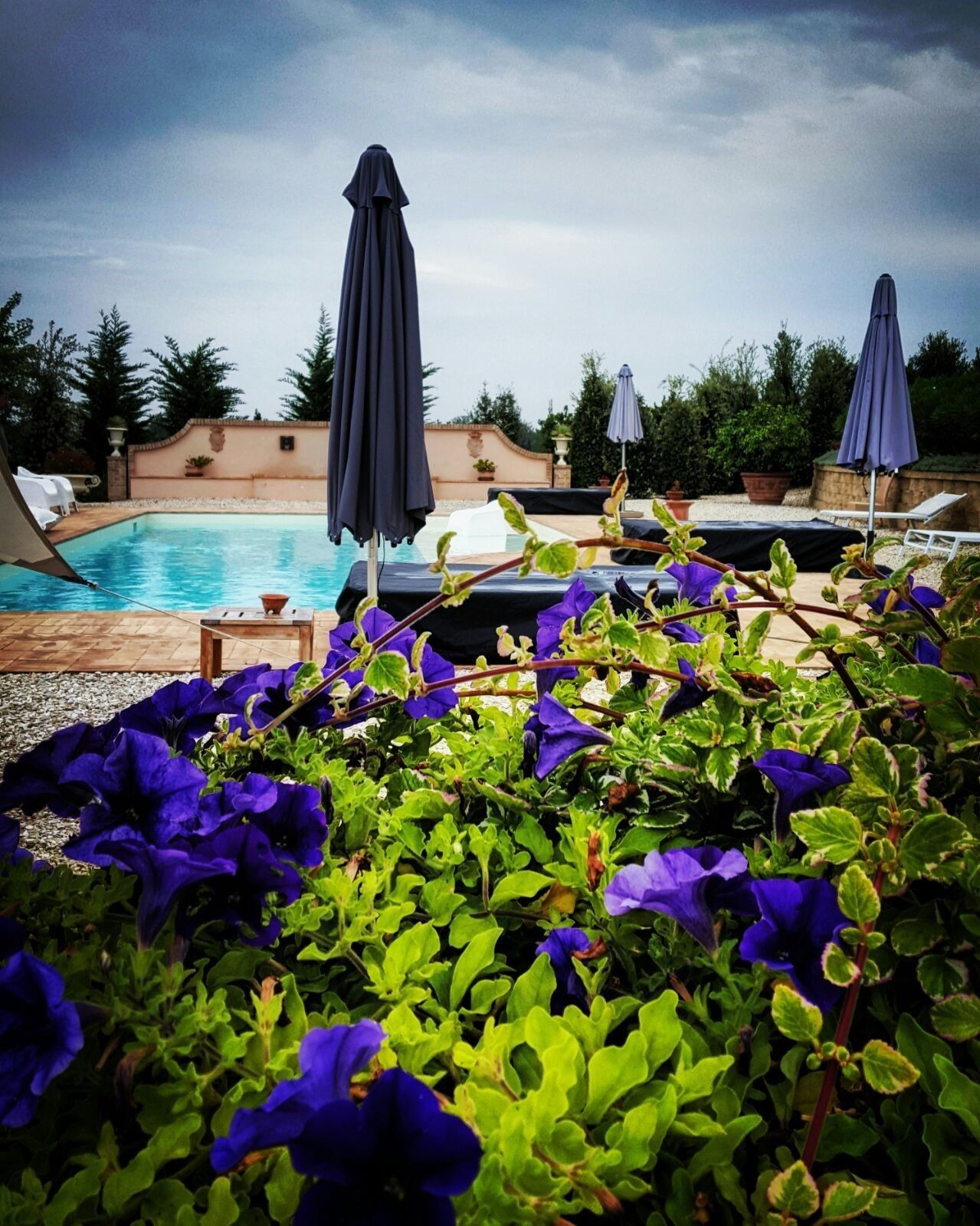 Seasonal outdoor pool, a rooftop pool, pool umbrellas, sun loungers