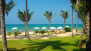 Una playa con palmeras, sombrillas y vista despejada al océano.