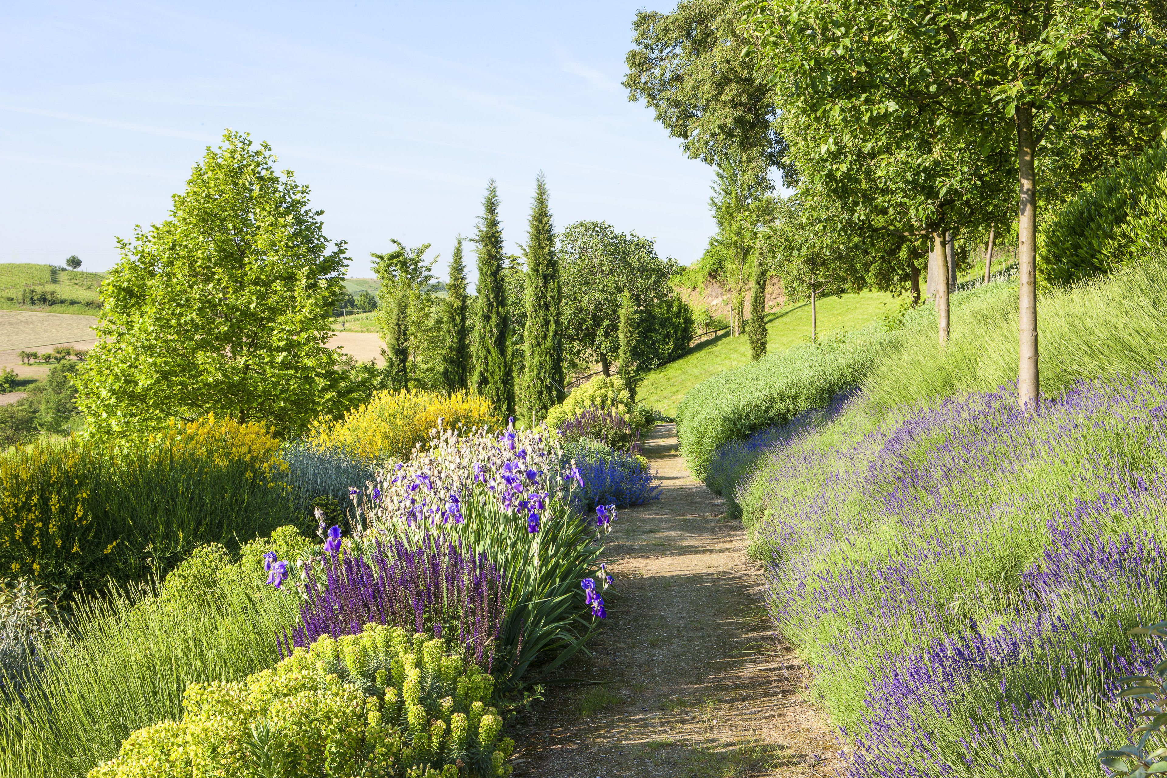Áreas de la propiedad