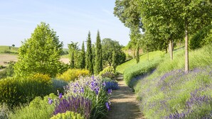 Un sentier de jardin bordé de différentes plantes et arbres.