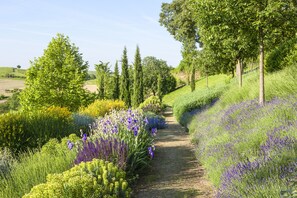 Terrein van de accommodatie