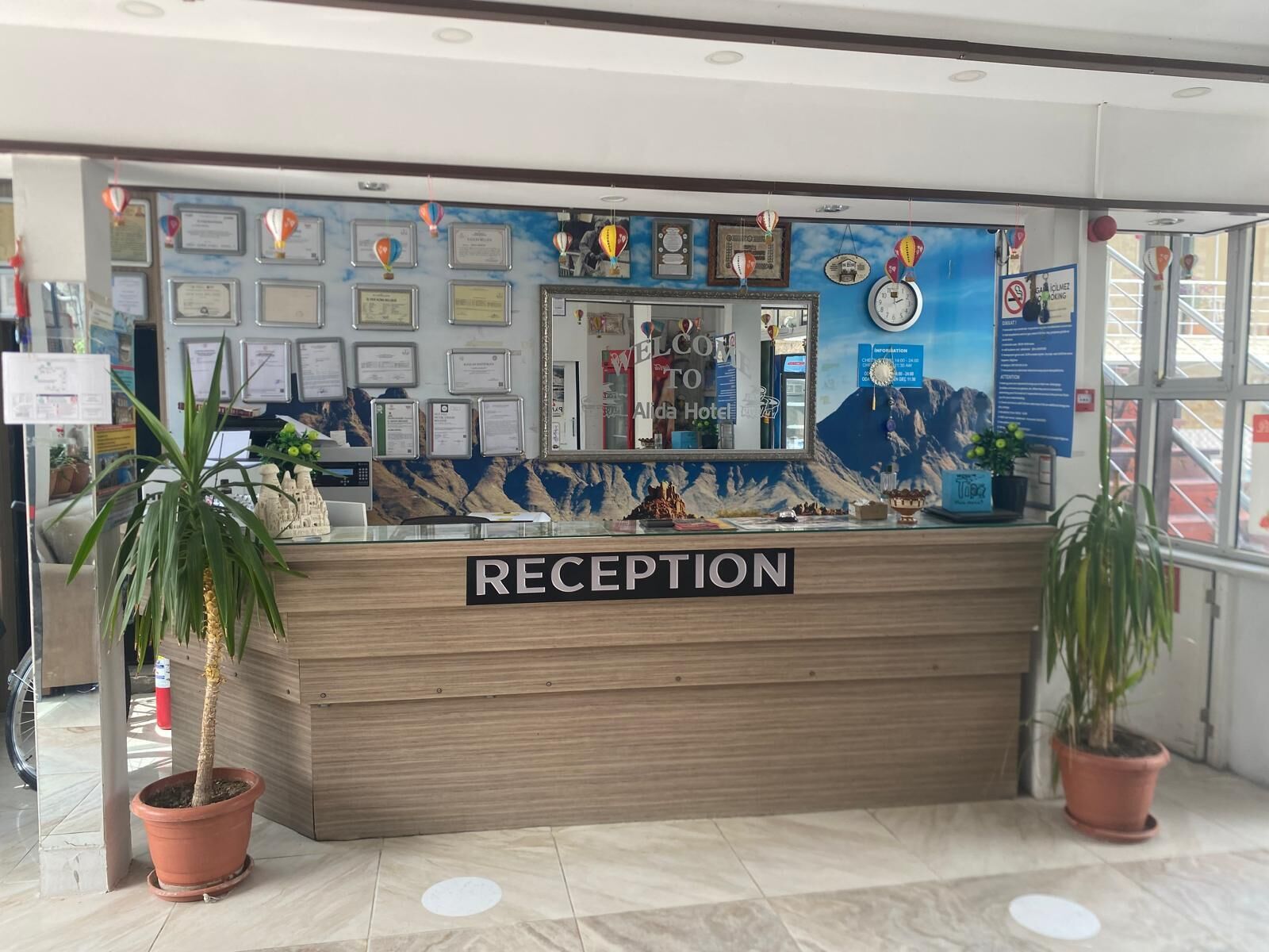 A reception desk with a 'RECEPTION' sign, framed certificates, and a mountain mural.
