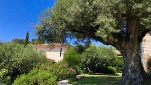 A large tree in a garden with a building in the background. - Nature ET Design (Bonifacio)