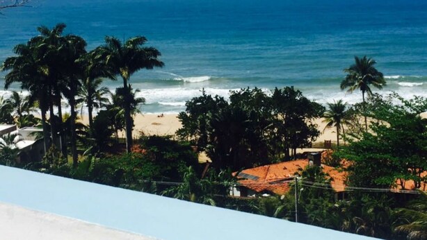 A beach with palm trees and a view of the ocean. - Recanto do Teimoso Ubatuba (Ubatuba)
