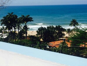 A beach with palm trees and a view of the ocean. - Recanto do Teimoso Ubatuba (Ubatuba)