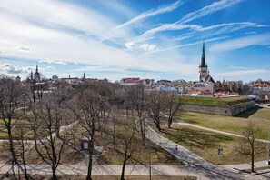 A historic town with a prominent church spire, a fortified wall, and a park with bare trees. - Lighthouse Apartments Tallinn (Tallinn)