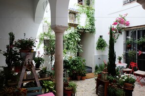 Cour