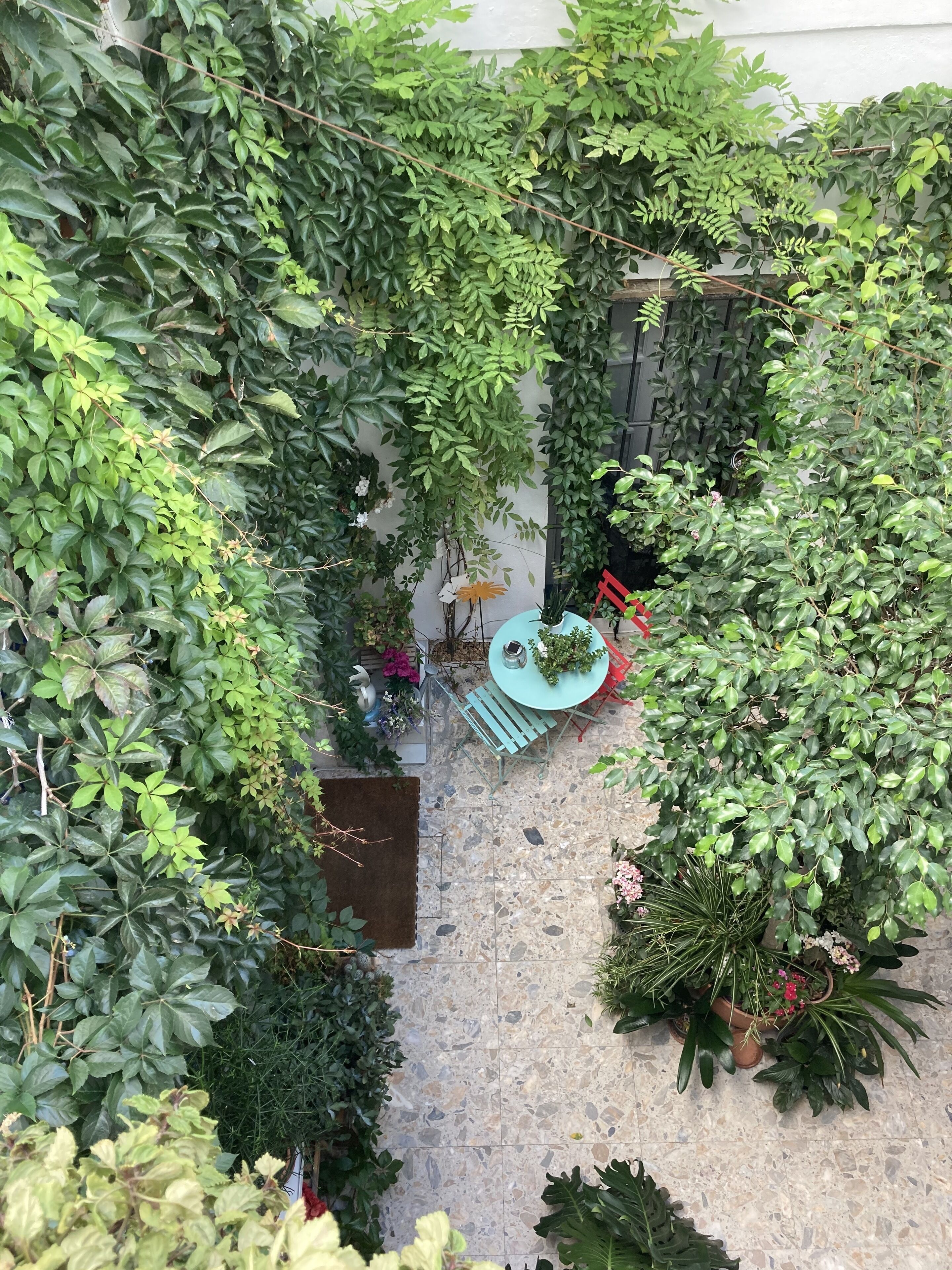 Terrasse/patio