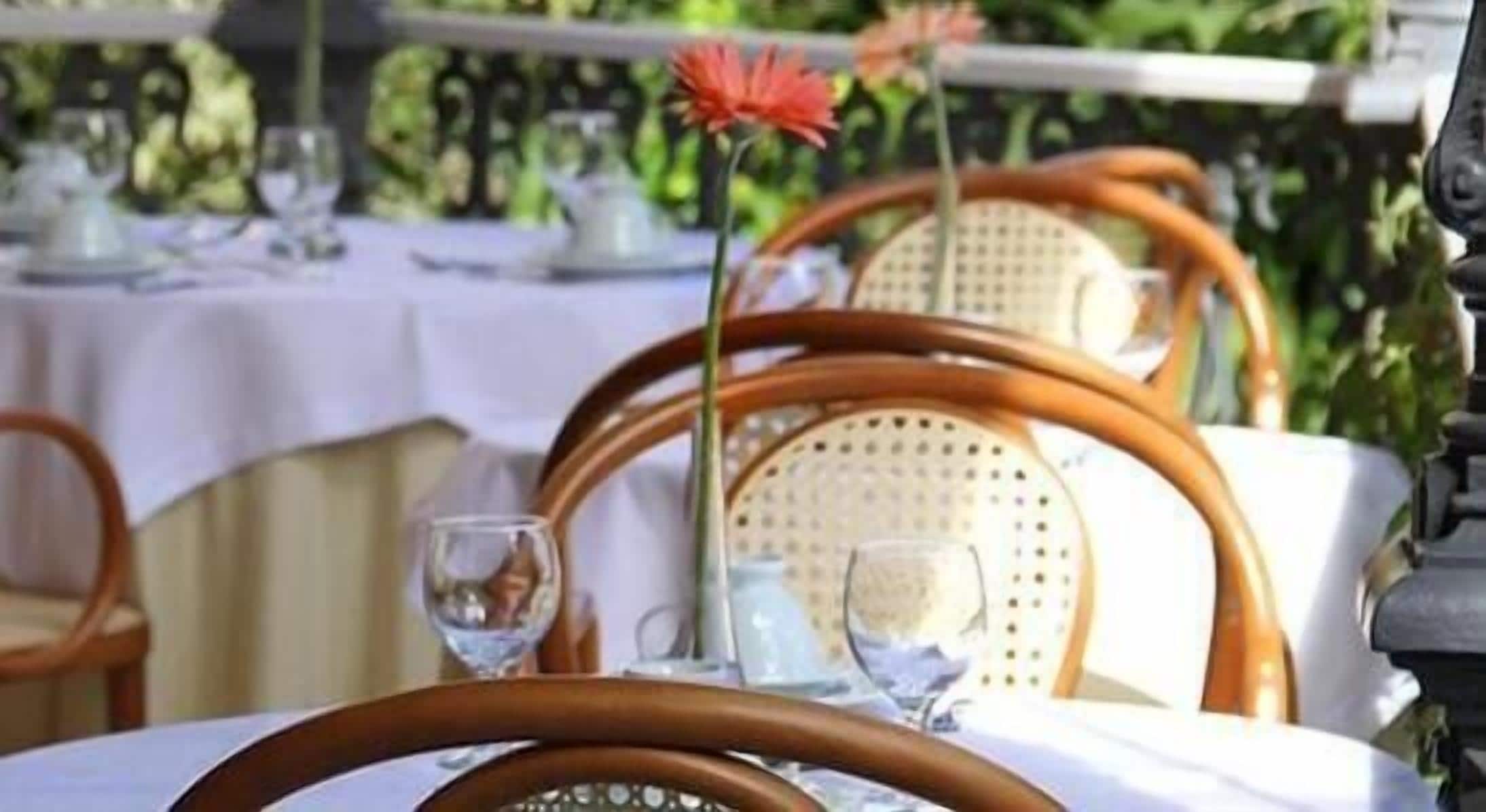 A dining table set with chairs, a glass of water, and a flower.