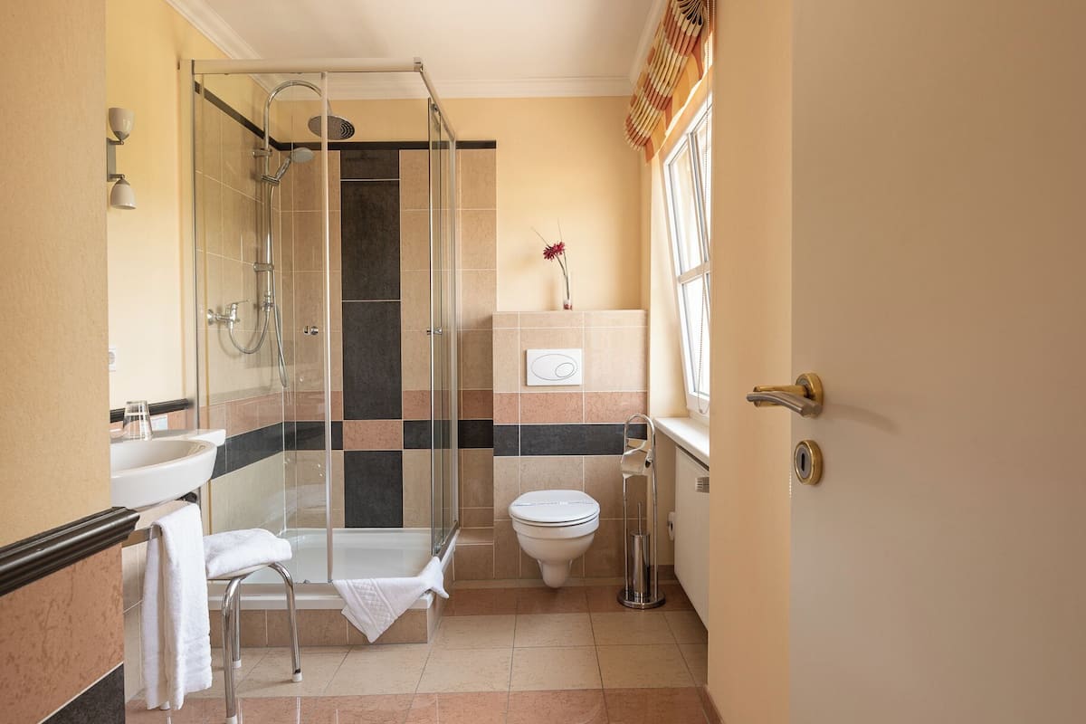 shower, free toiletries, hair dryer, towels