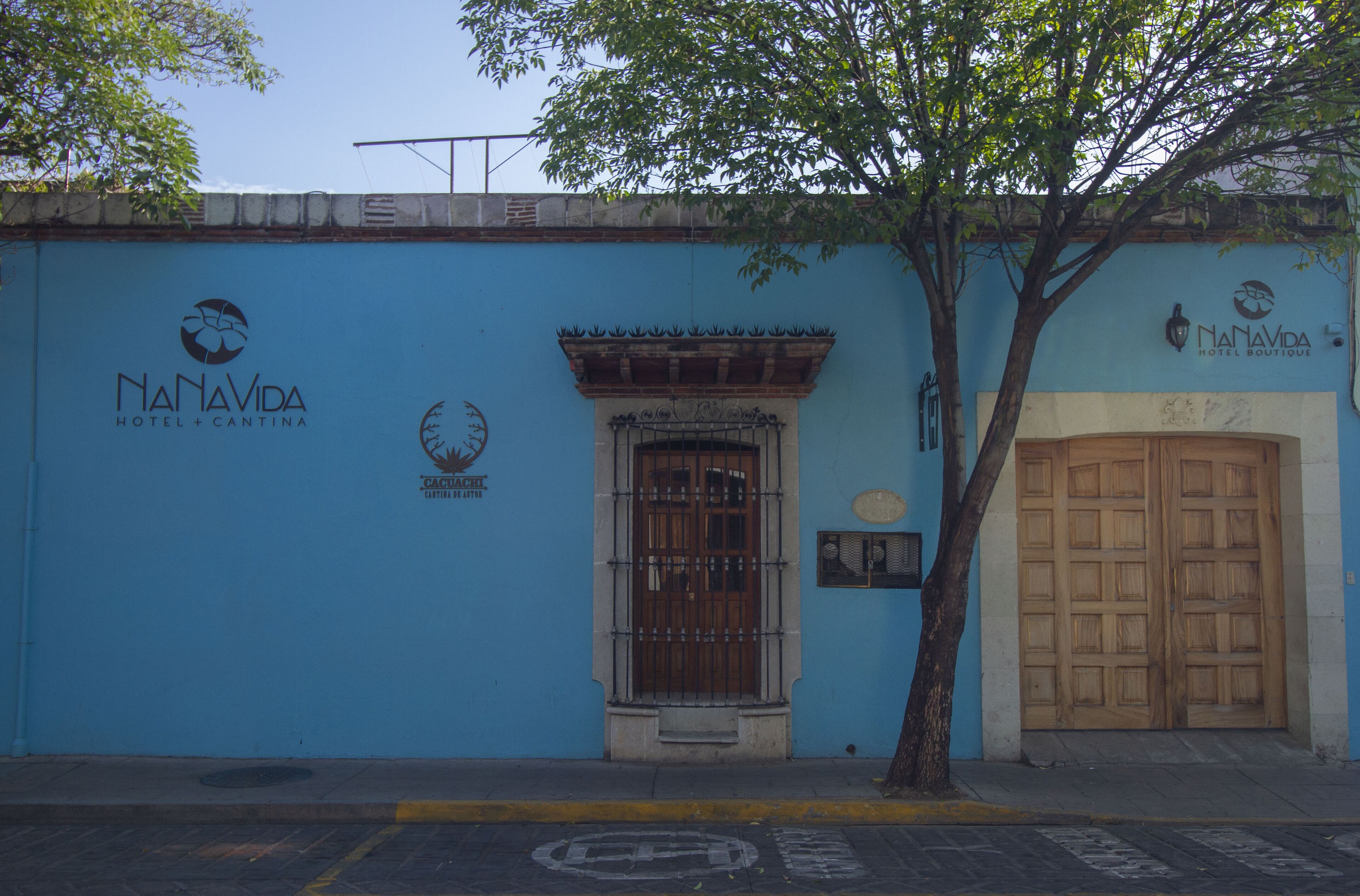 Un edificio azul con una puerta de madera y un árbol frente a él.