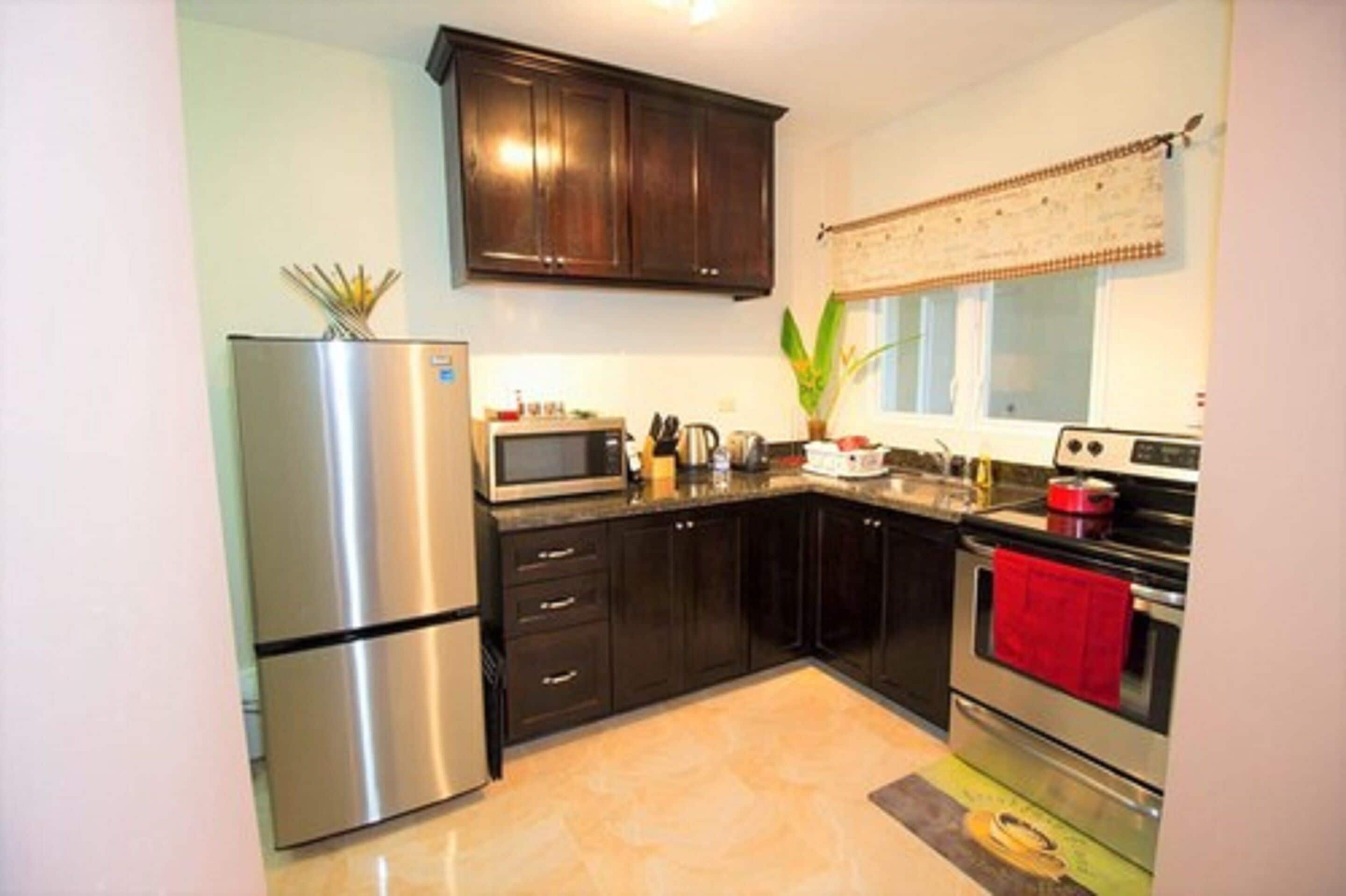 Full-sized fridge, microwave, oven, stovetop