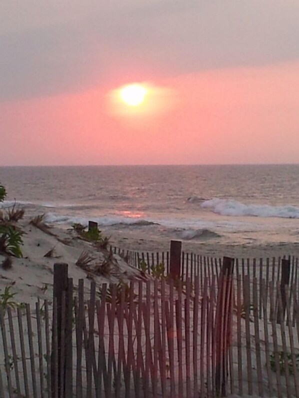 View from property - Island Guest House B&B (Beach Haven)
