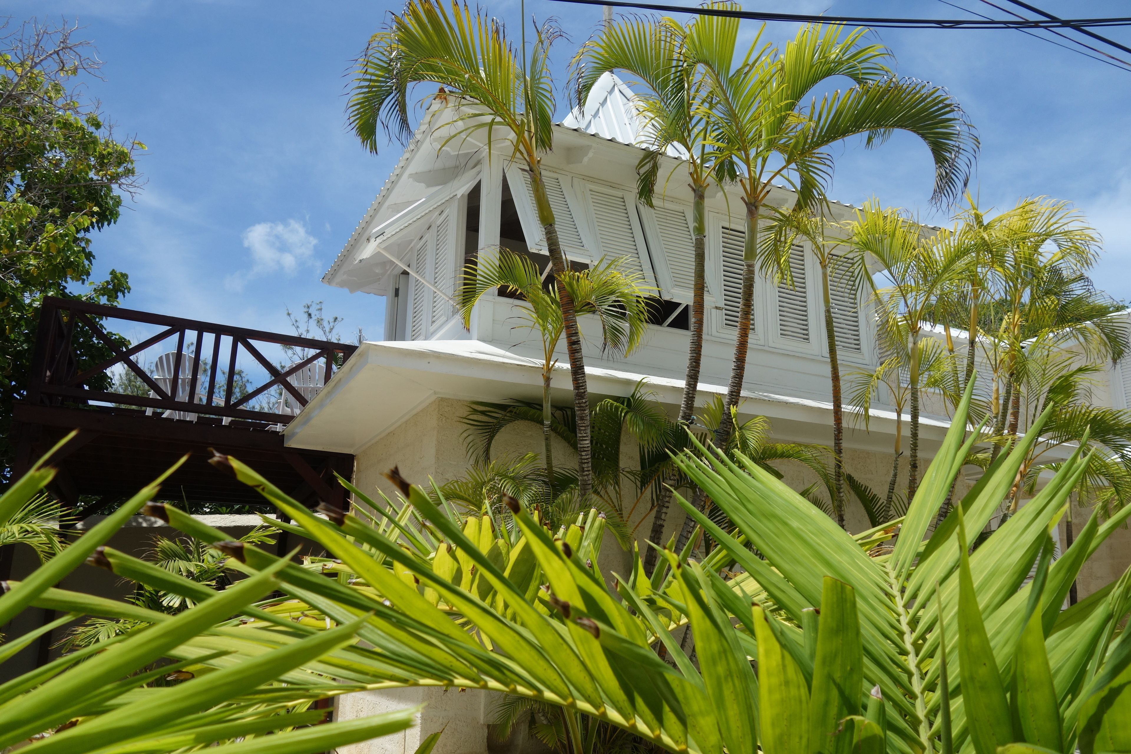 A white building with a sloped roof and multiple windows, surrounded by lush green palm trees.