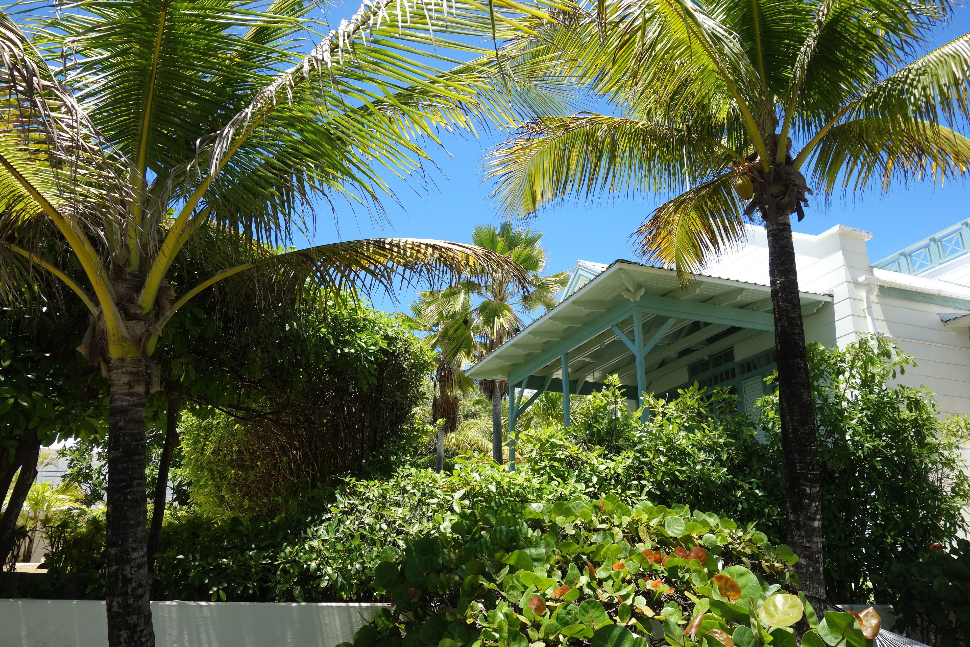 Inchcape Seaside Villas - Tower 1-bedroom apartment | Select Comfort -patjalliset sängyt, tallelokero huoneessa