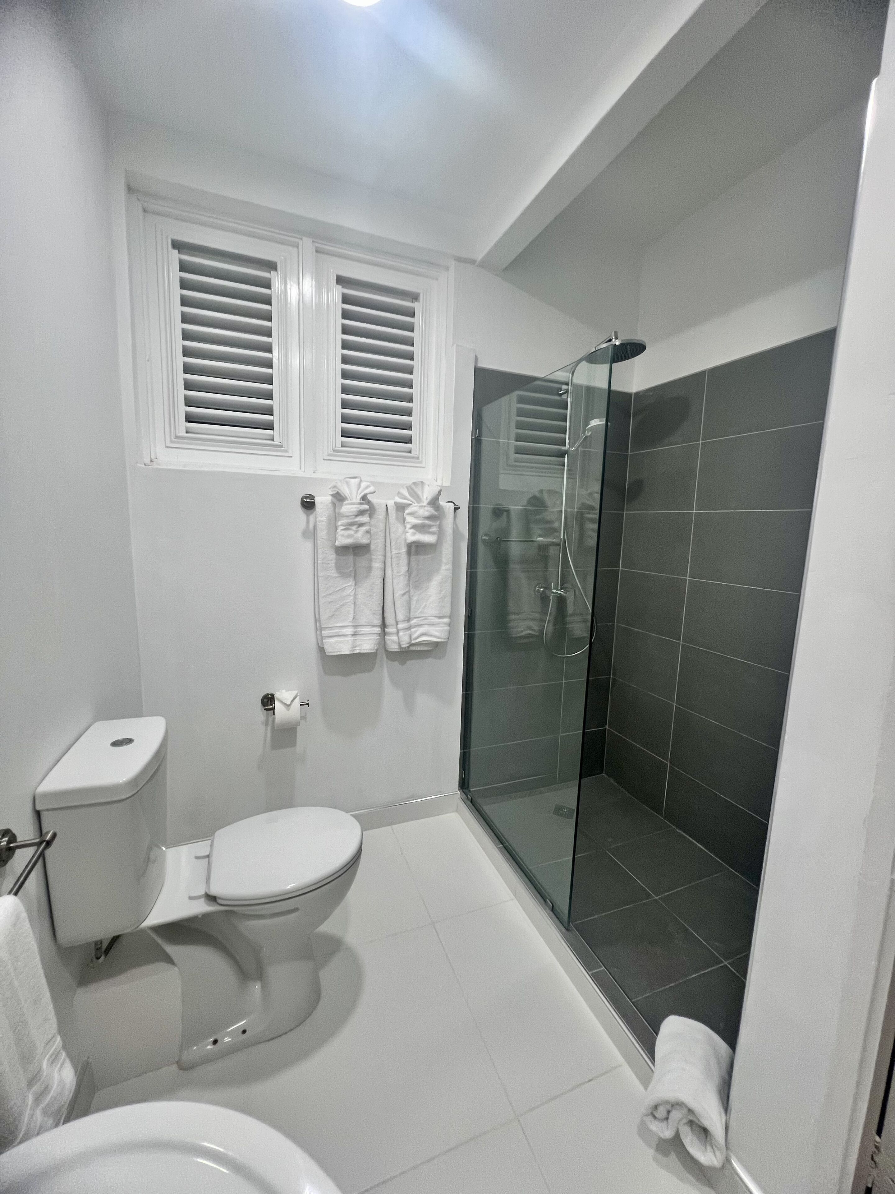 A bathroom with a toilet, a glass-enclosed shower, and a window with blinds.