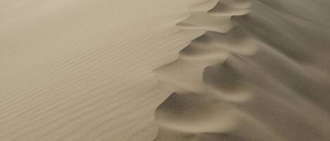 Un vaste paysage sablonneux, parsemé de dunes ondulantes, sous un ciel dégagé.
