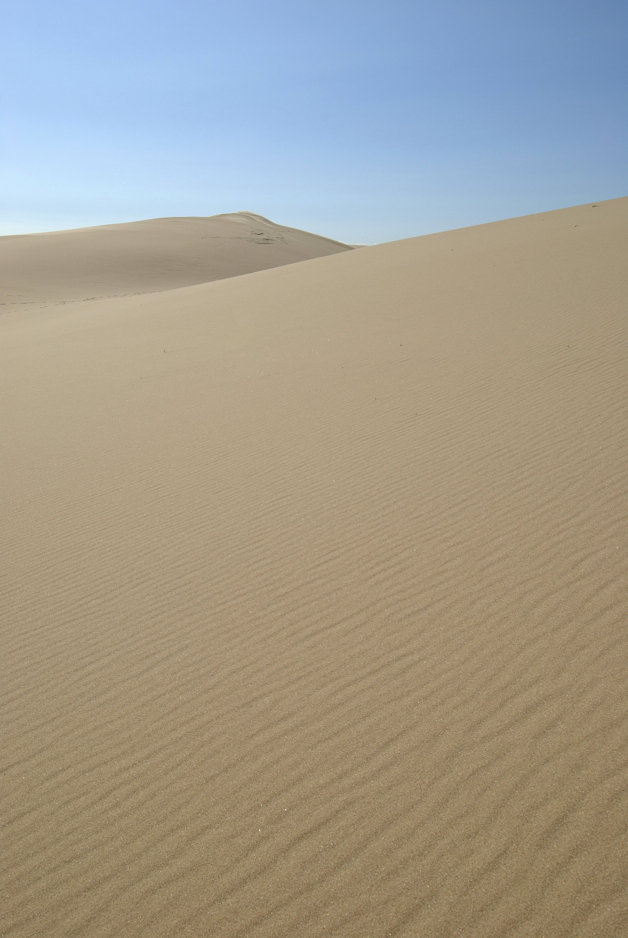 Un extenso paisaje arenoso con dunas ondulantes bajo un cielo despejado.