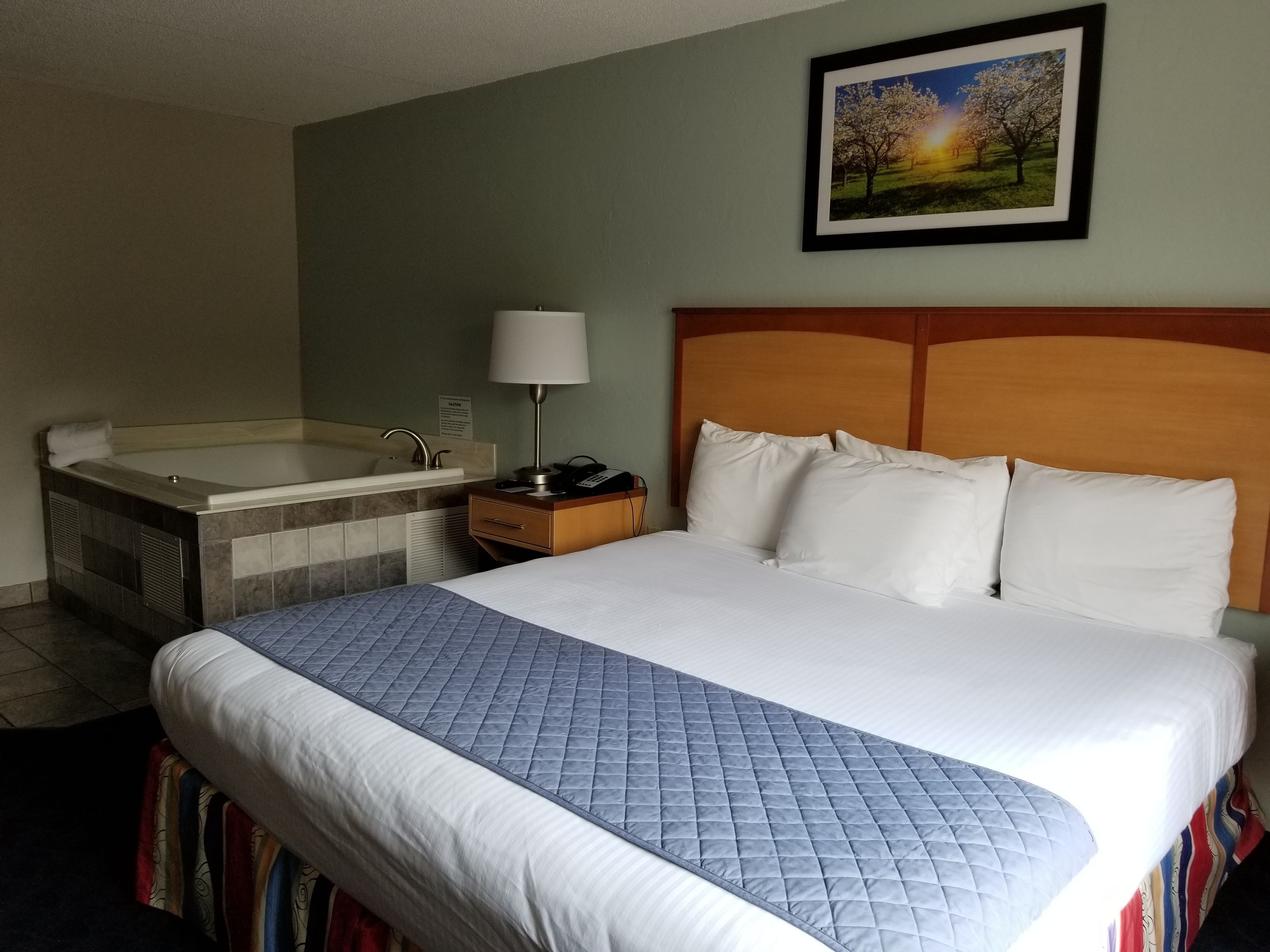 Une chambre d’hôtel avec un grand lit, une salle de bain séparée avec une baignoire, une table de chevet avec une lampe et un tableau encadré au mur.