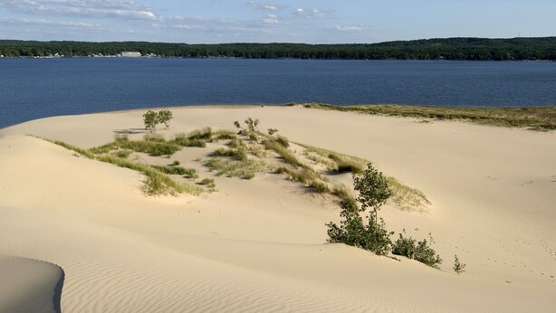 A sandy beach with a small patch of grass and a tree, leading to a body of water.