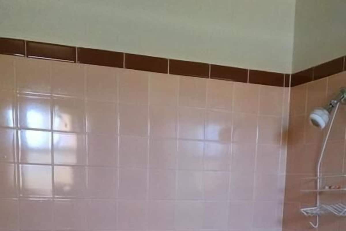 Combined shower/tub, hair dryer, towels