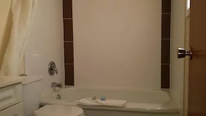Combined shower/bathtub, hair dryer, soap, shampoo