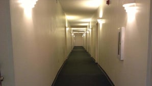 Un pasillo largo y estrecho con alfombra oscura y paredes blancas.