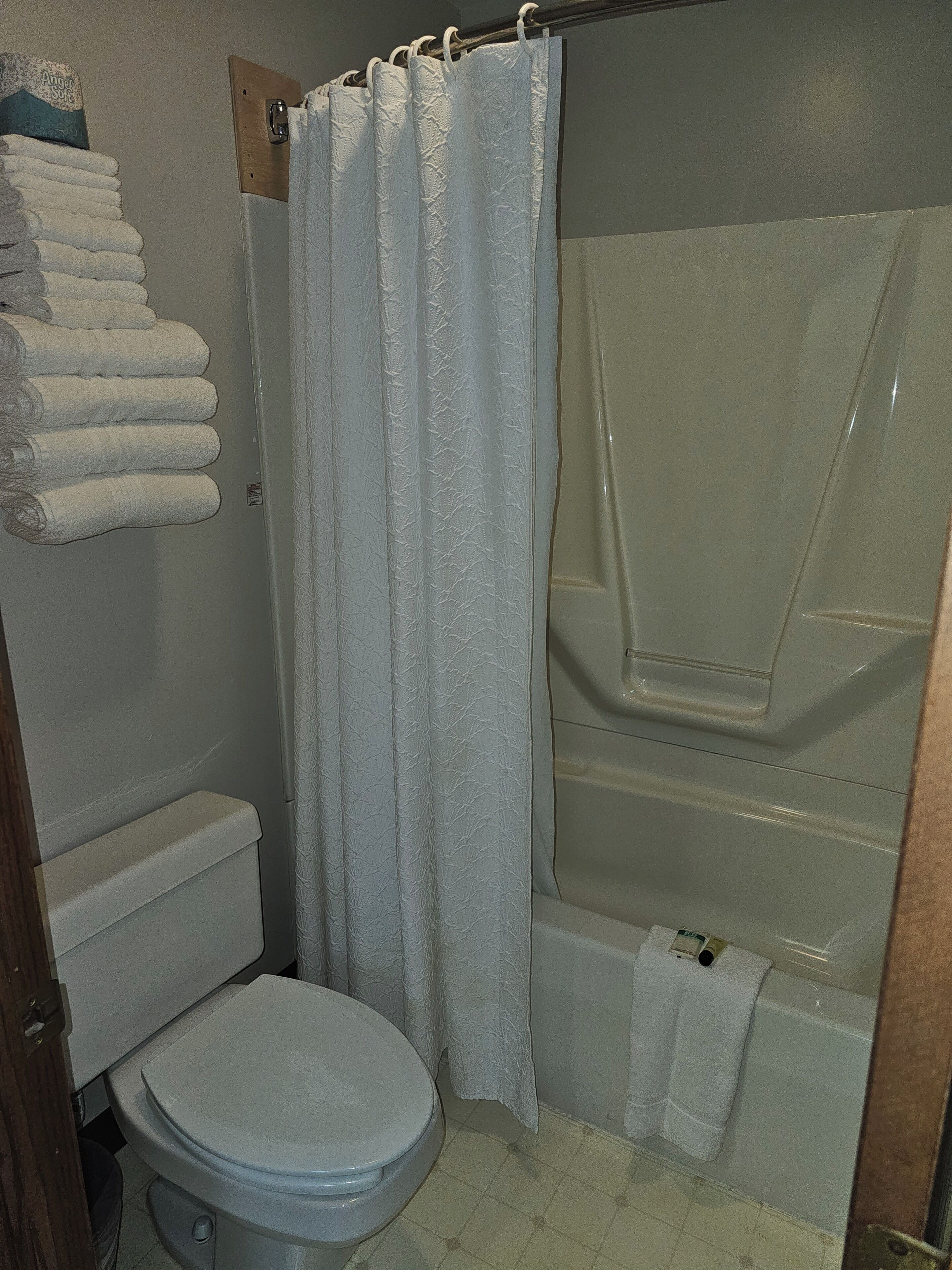 lodge suite, 2 queen beds | bathroom | shower, free toiletries, towels
