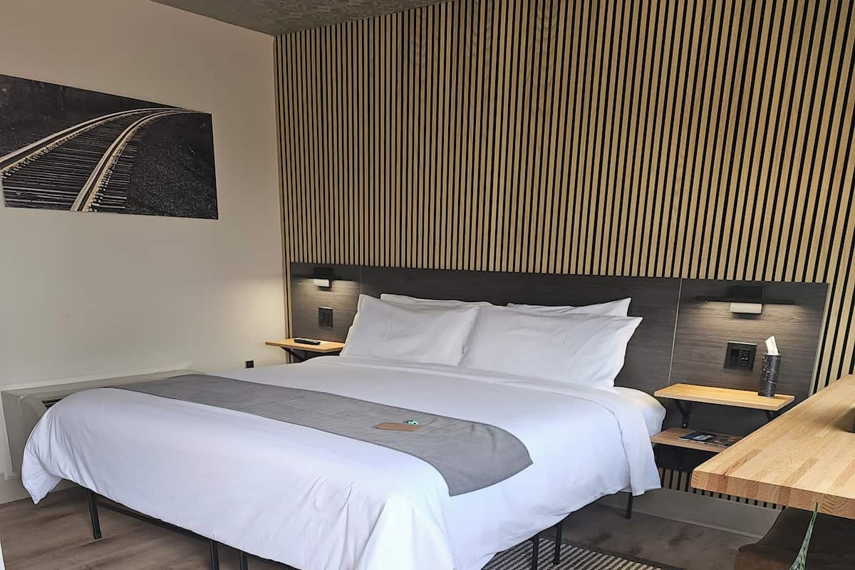 Una habitación de hotel moderna con una cama grande, suelo de madera, una mesita pequeña, una mesita de noche y una planta en maceta.