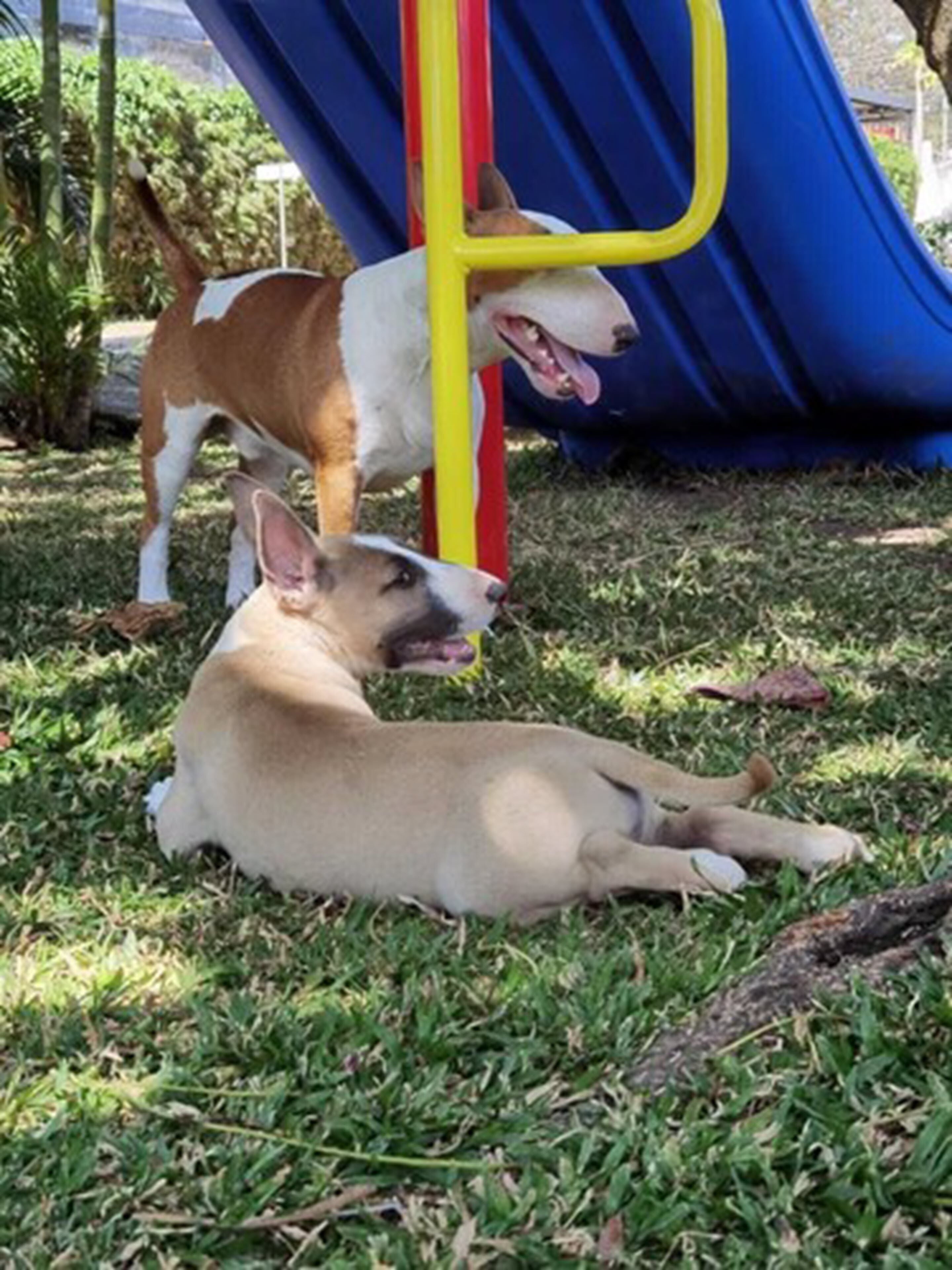 Photo - Hotel Bristol Aeropuerto