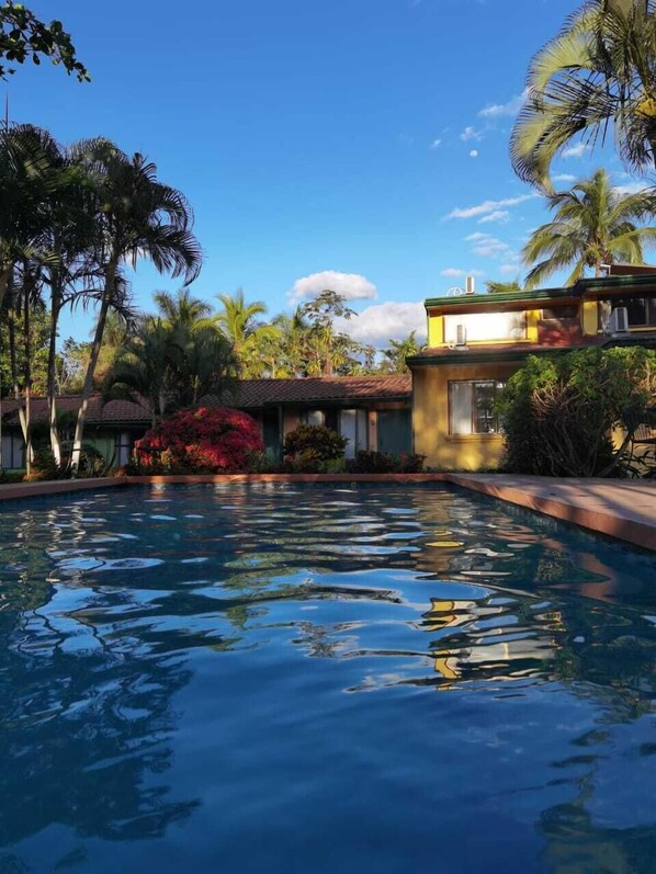 Outdoor pool, sun loungers - Hotel Bristol Aeropuerto (San José)