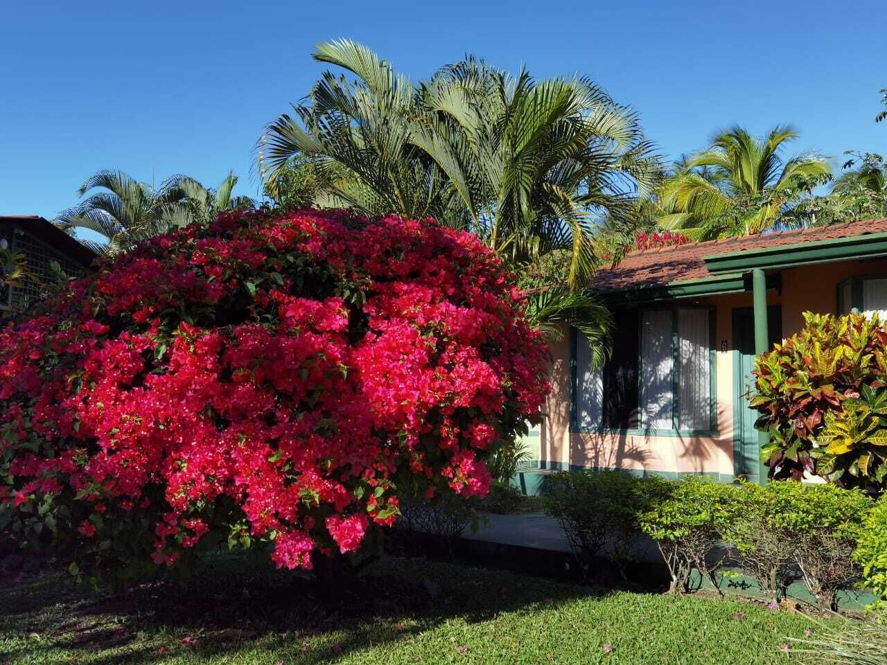 Photo - Hotel Bristol Aeropuerto