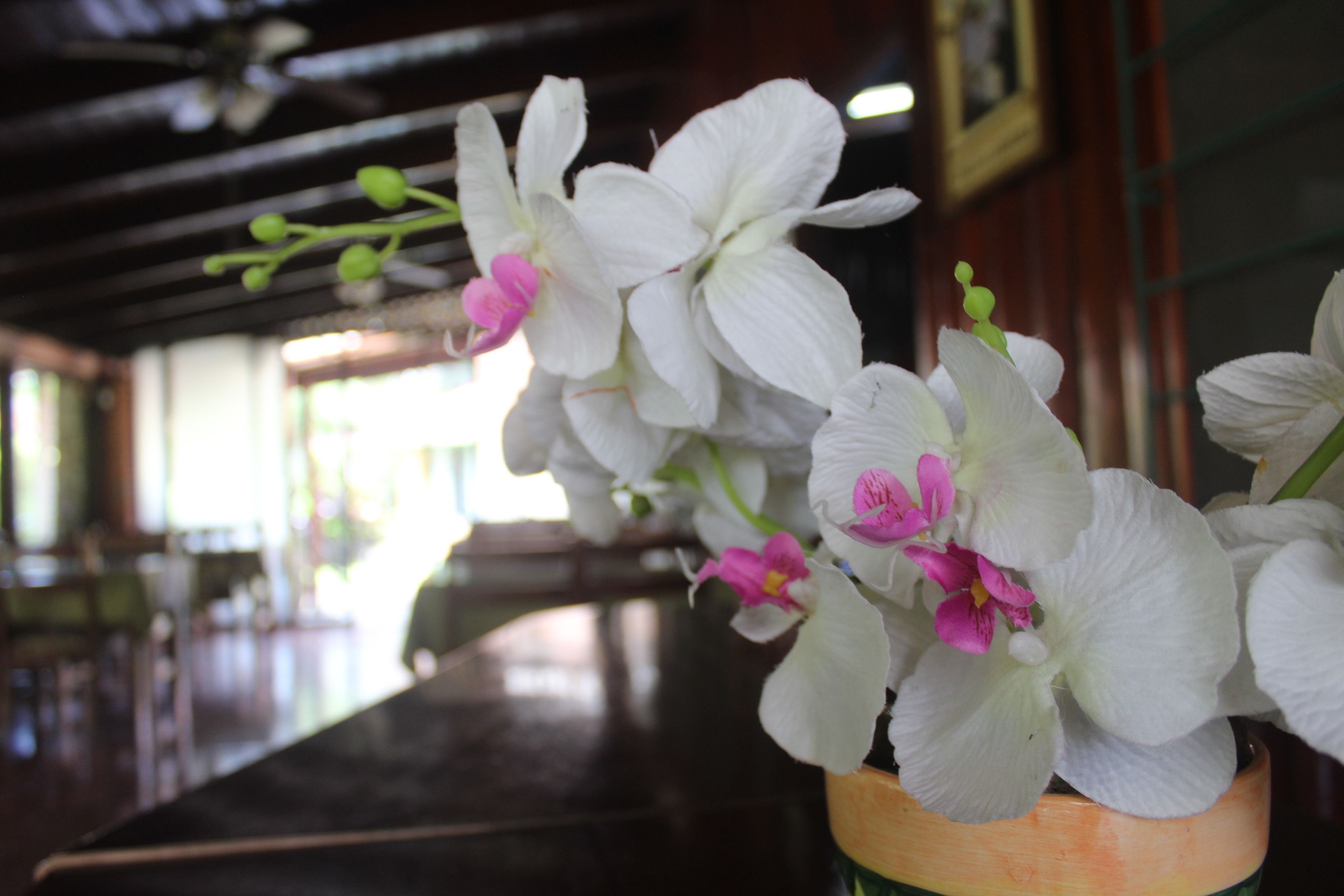 Photo - Hotel Bristol Aeropuerto