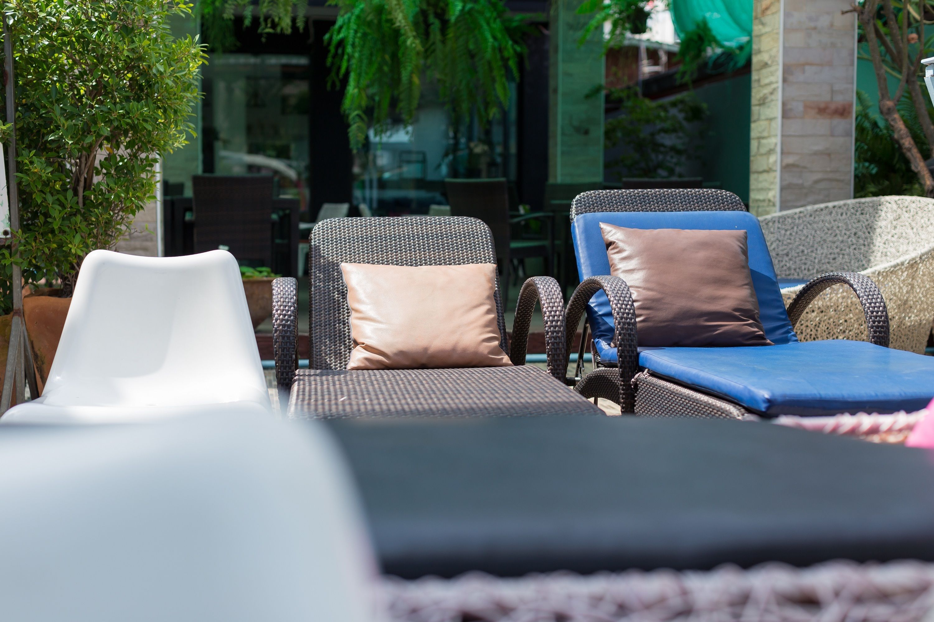 Outdoor pool, sun loungers