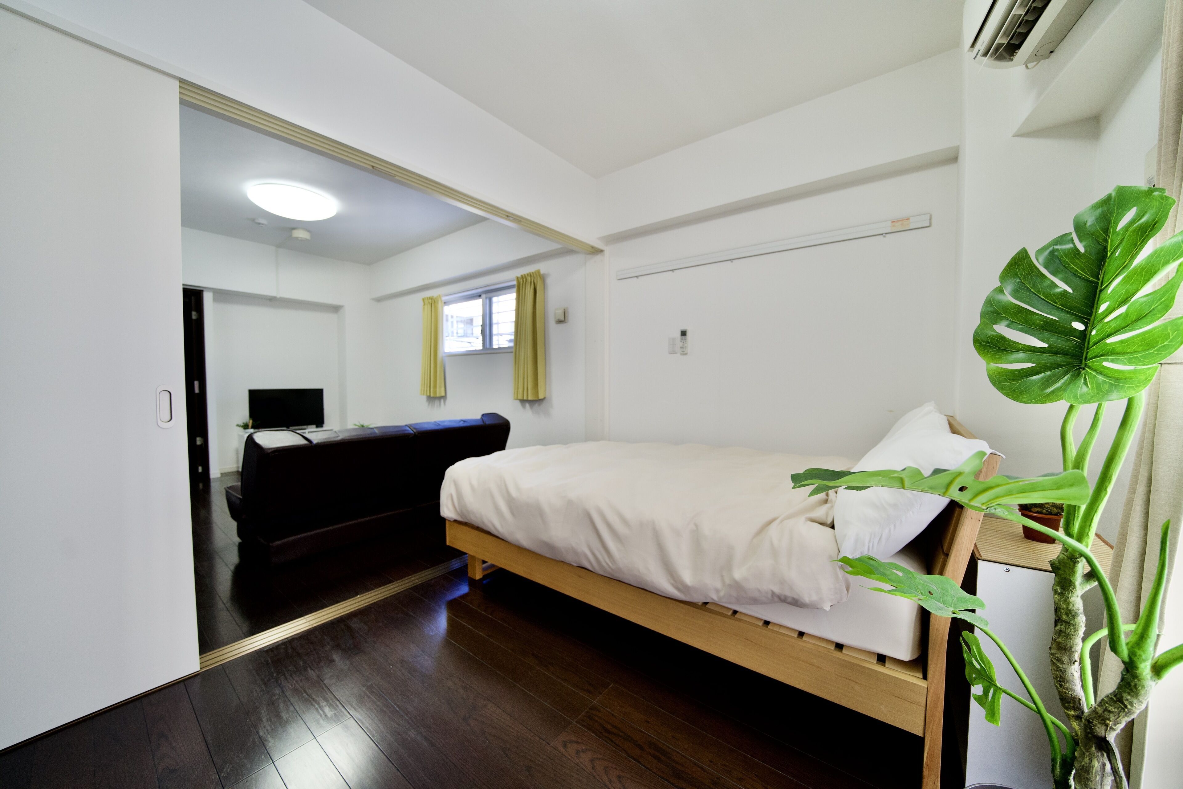 A bedroom with a bed, a TV, a plant, and a window with curtains.