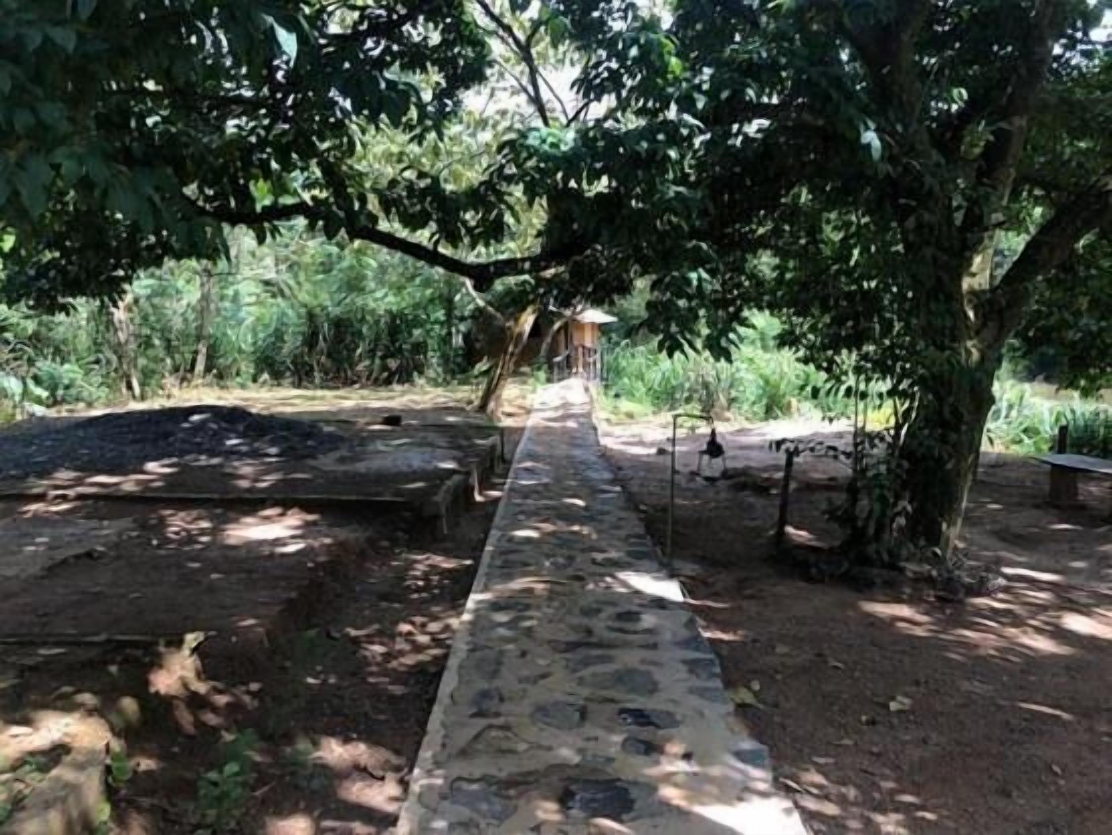 A stone pathway leading through a shaded garden area with trees and a small structure in the background.