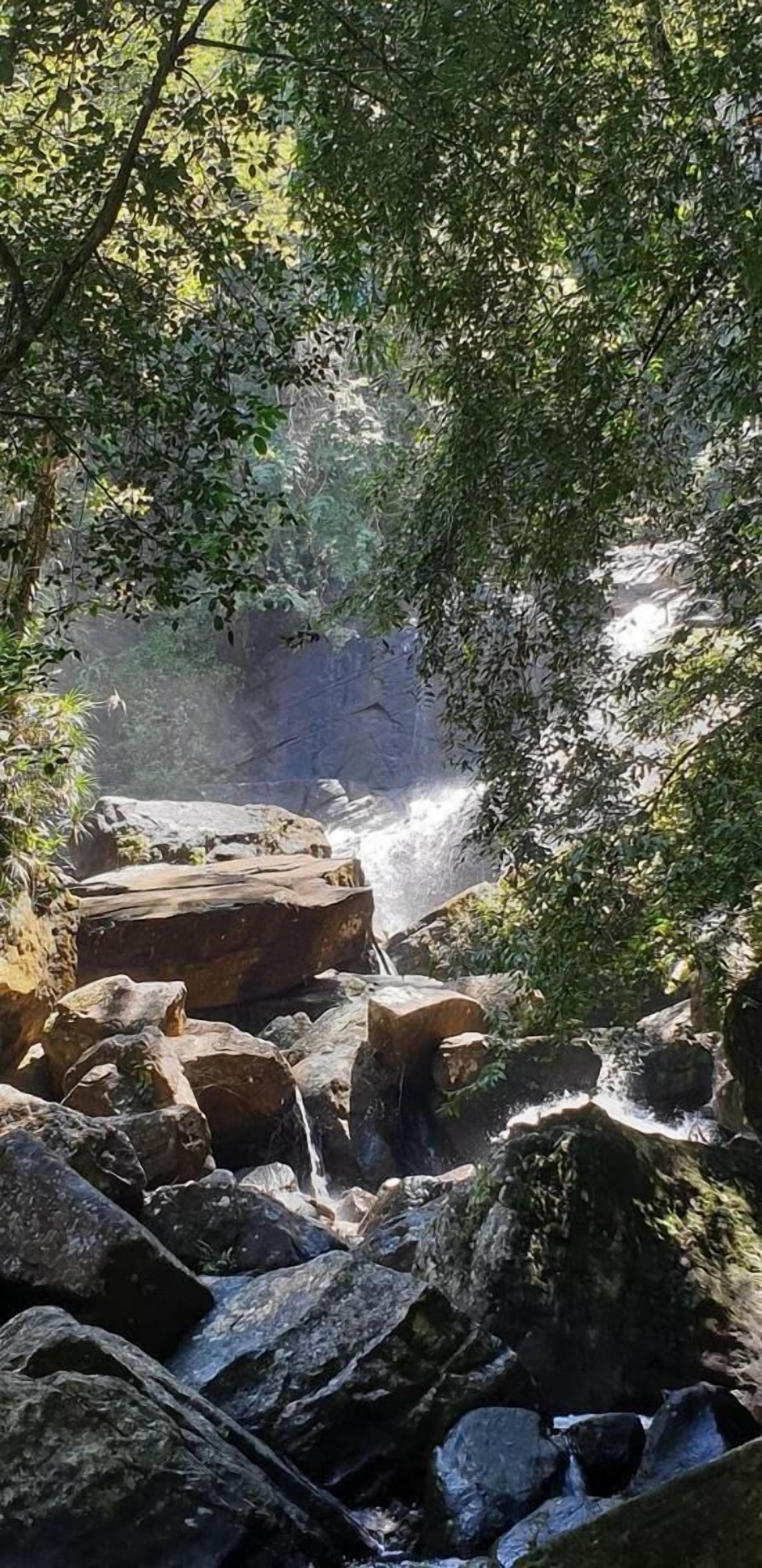 A natural rocky landscape with a waterfall, surrounded by dense foliage.