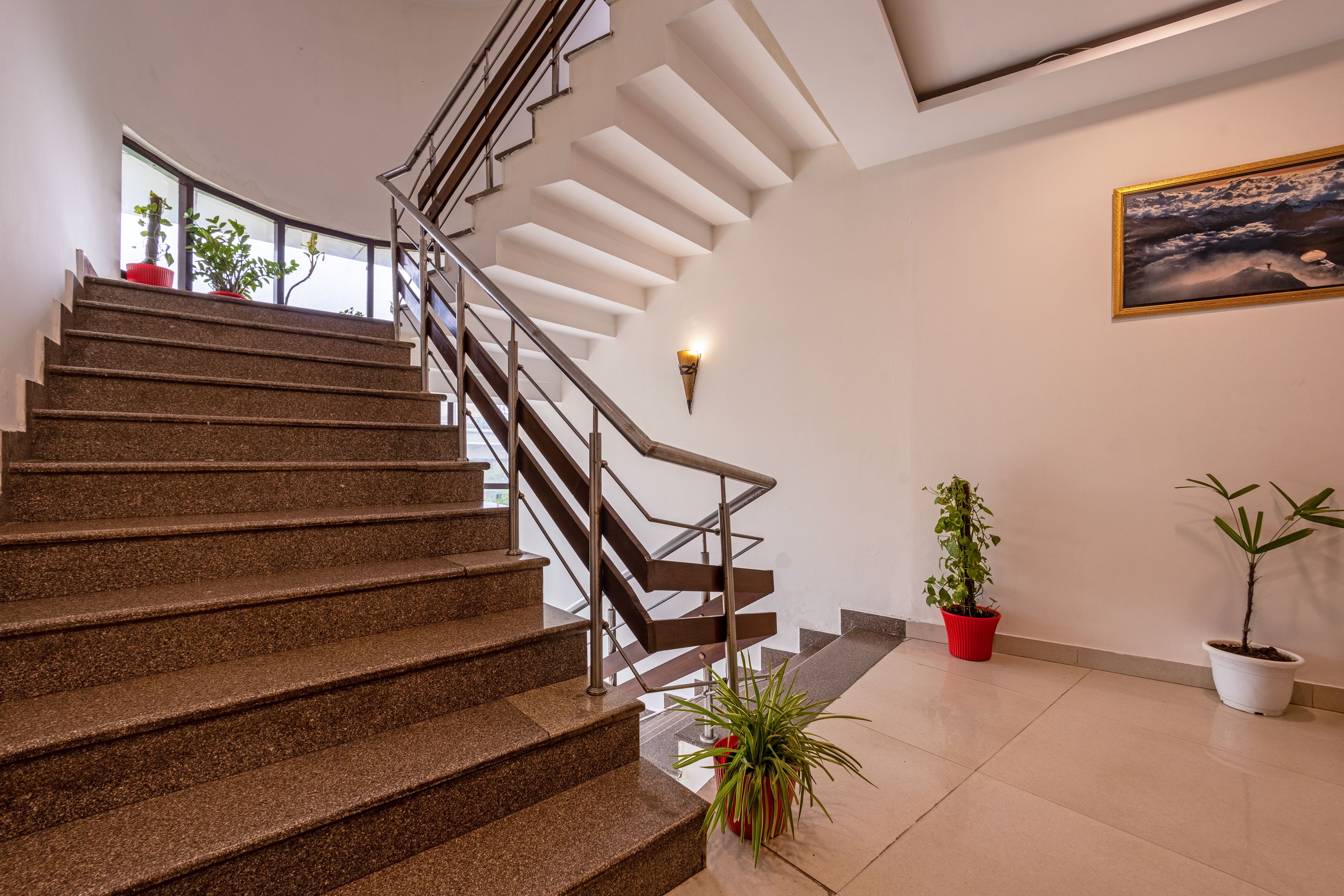 Un escalier muni d’une rampe, des plantes en pot et un tableau accroché au mur.