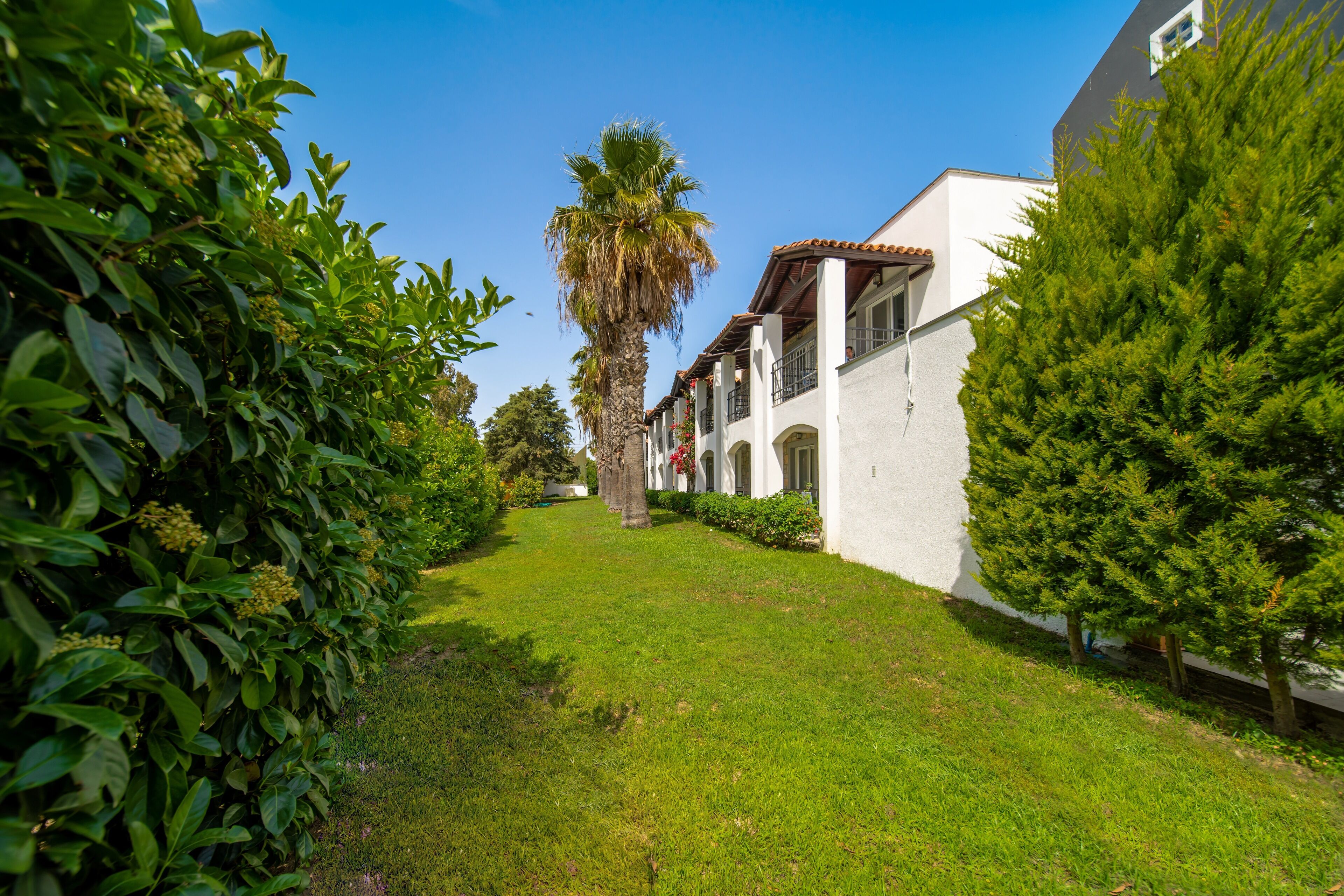 Un sendero que conduce a un edificio blanco con ventanas de arco y tejado de tejas.