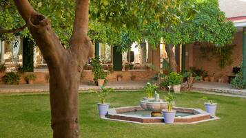 Terrein van de accommodatie