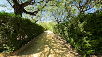 Caminatas