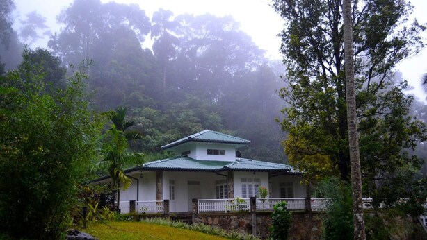 A traditional house with a green roof, surrounded by lush greenery and a stone wall. - Clovefield Villa (Hatton)