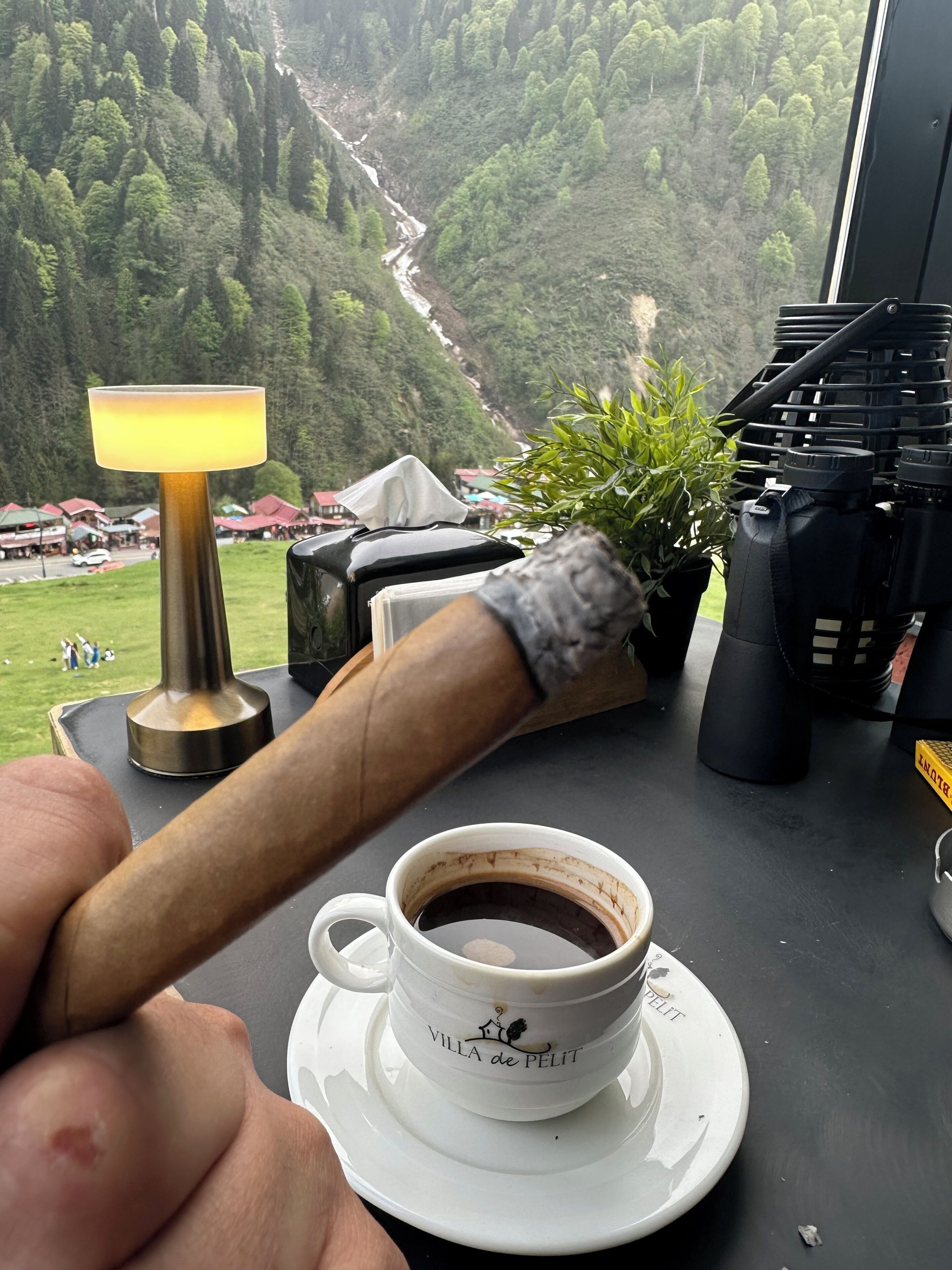 A cup of coffee on a saucer with a logo, a cigar, a lamp, a potted plant, and a view of a mountainous landscape.