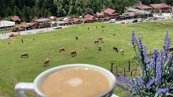 A cup of coffee with a view of a green field with cows and a village in the background.