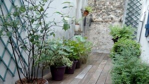 Una terraza de madera con plantas en macetas, un muro de piedra y una valla de metal.