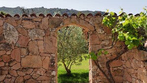A stone archway leading to a grassy area with a tree. - Pozzo di Mastri (Figari)